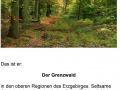Der Grenzwald