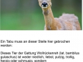 lecker Reh