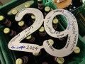 Leap Day 2024